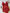 Body Lingerie Tati - DE RENDA LINGERIE