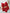Lingerie de Luxo Rebeca - DE RENDA LINGERIE