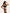 Lingerie de Luxo Valentina - DE RENDA LINGERIE