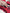 Lingerie Rendada Natália - DE RENDA LINGERIE